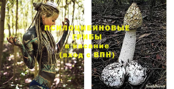ALPHA-PVP Армянск