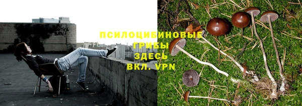 MDMA Premium VHQ Арсеньев