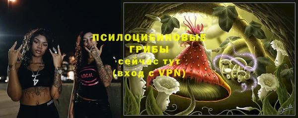 дурь Аркадак