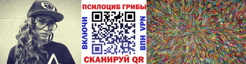 наркота Салаир Галлюциногенные грибы Magic Shrooms