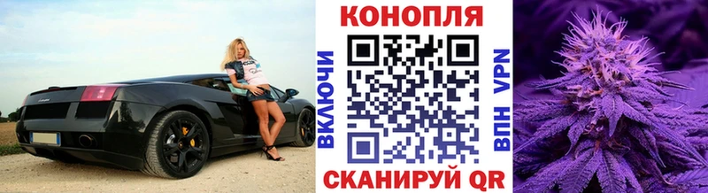 Бошки марихуана план Салаир